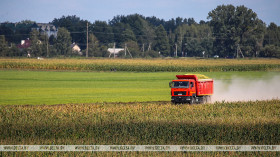 Аграрии всех районов Гомельской области приступили к уборке кукурузы на зерно
