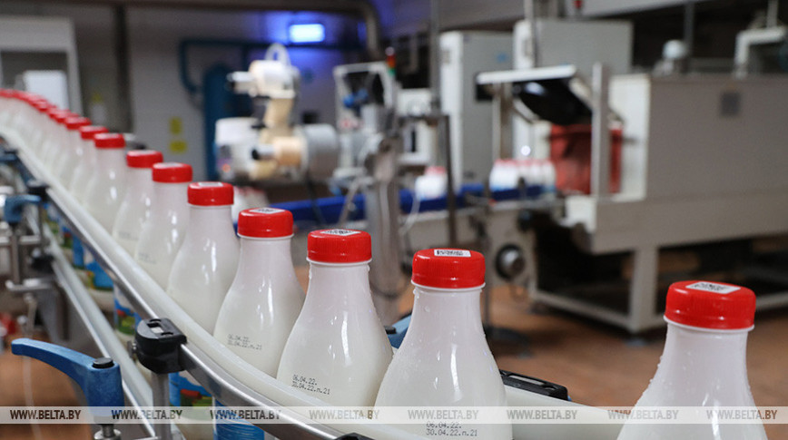 "Милкавита" за полгода увеличила экспорт продукции на 17%
