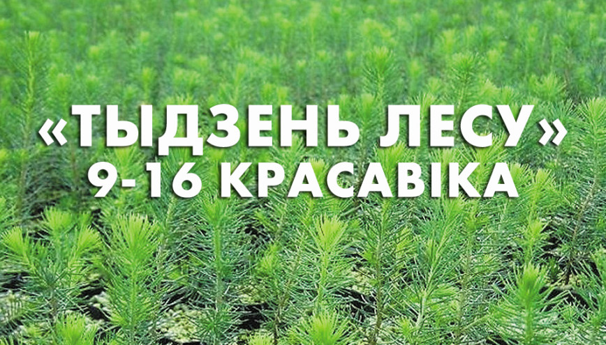 Неделя леса в Гомельской области объединит разные поколения