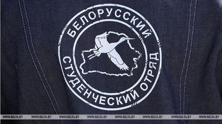 В студотрядах Гомельской области в этом году трудоустроили более 7,1 тыс. человек