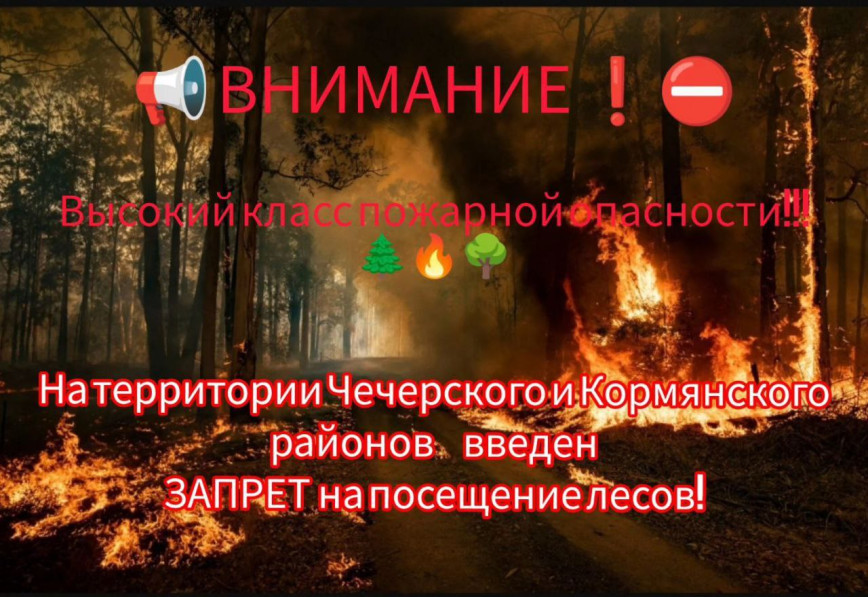 О введении запрета на посещение лесов и торфяников