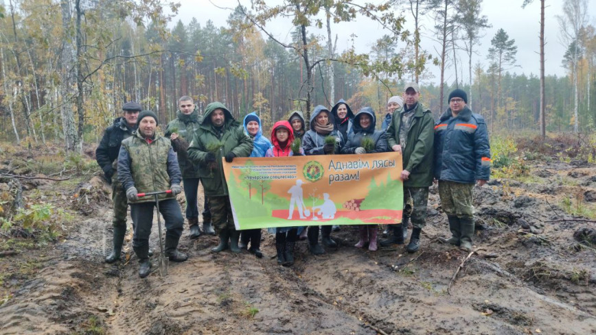 Порядка 47 тысяч молодых деревьев пустят корни в Чечерском районе