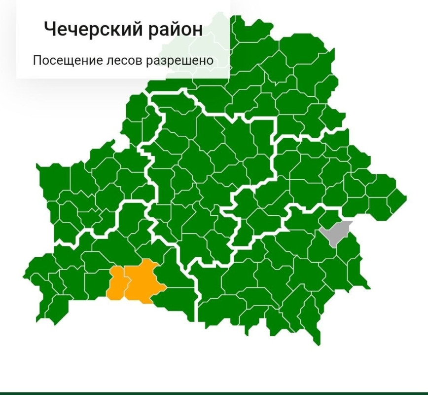 Посещение лесов разрешено