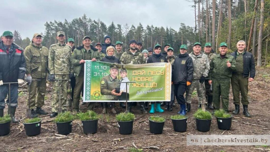 На Чечерщине стартовала акция “Дай лесу новае жыццё!”