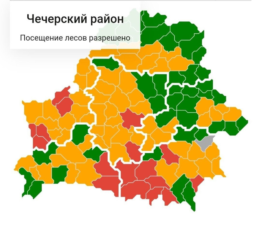 Посещение лесов разрешено