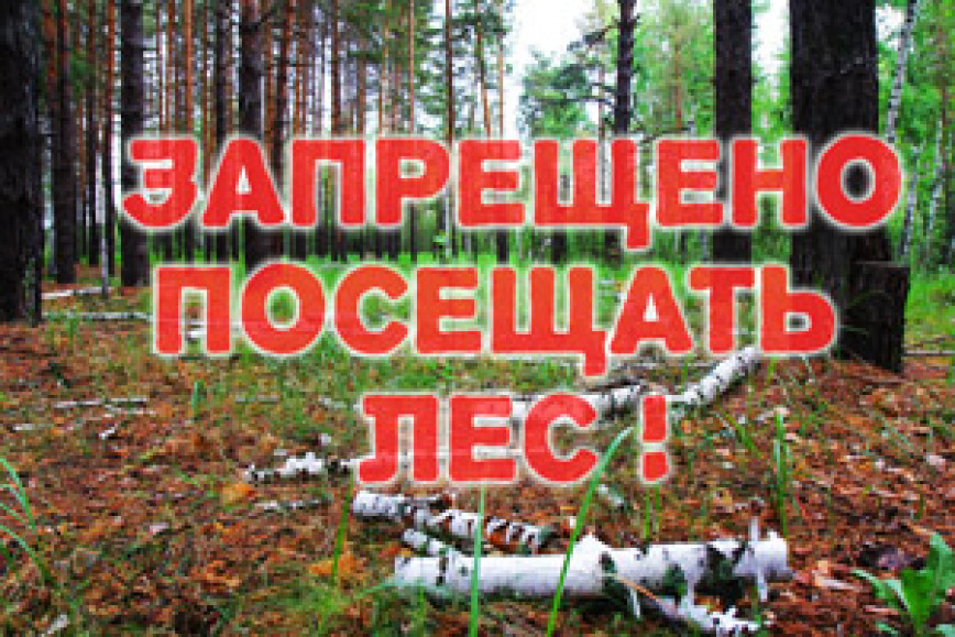 ГСЛХУ "Чечерский спецлесхоз" сообщает о введении ограничения на посещение лесов и торфяников с 02.08.2022 на территории Чечерского и Кормянского районов