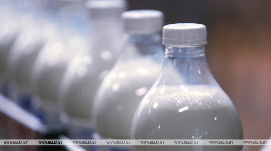 Belarus’ Gomel Oblast to send big delegation to China International Import Expo